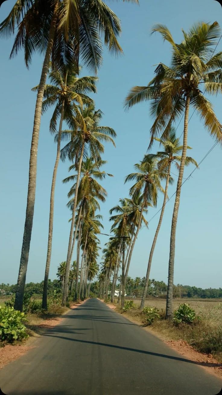 aumevya goa yoga retreat