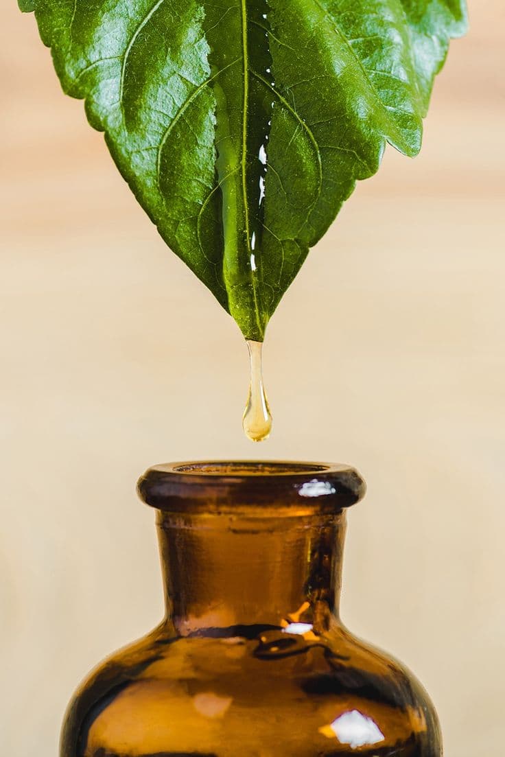 plants extract